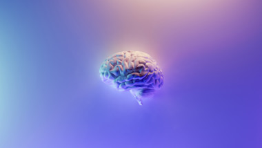 Neuromarketing: hablando al cerebro