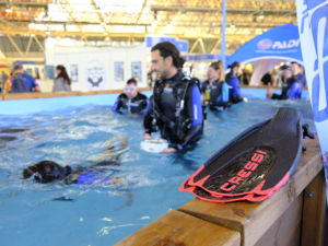 Mediterranean Diving Show 2024