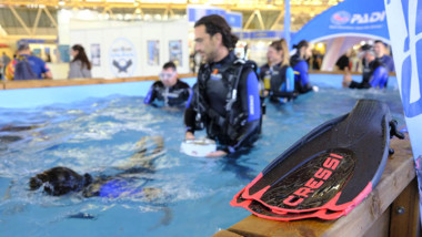 Vuelve el Mediterranean Diving Show a Cornellà